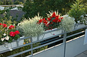 Bepflanzte Balkonkästen