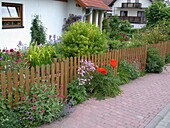 Front garden with garden fence