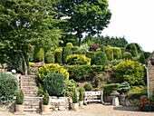 Terrace garden with conifers