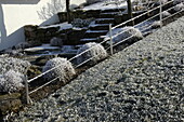 Front garden in hoarfrost