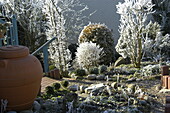 Front garden in winter
