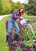 Watering plants