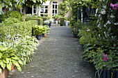 path lined with potted plants