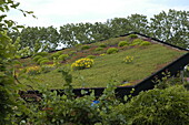 Green roof