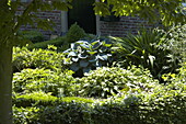 Perennial bed with hosta