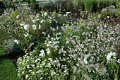 Herbaceous border with grasses