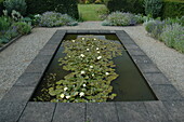 Pond basin with water lilies
