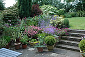 Patio garden