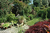 Garden view with tub plants