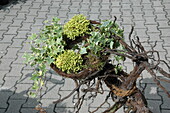 planted wreath