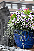 Flower pots with petunias