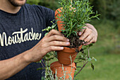 Herb tower - Pressing soil down