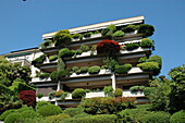 Balcony planting