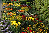 Bed with tulips and spring flowers