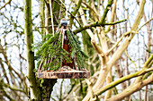 Birdhouse made from Nordmann fir
