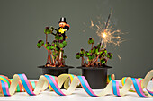 New Year's Eve - Lucky clover with sparkler