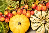 Thanksgiving - Autumn decoration with pumpkins