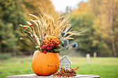 Thanksgiving - Autumn decoration