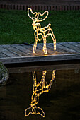Lights in the garden - Moose made of rope light