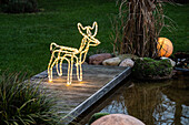 Lights in the garden - Moose made of rope light