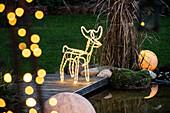 Lights in the garden - Moose made of rope light