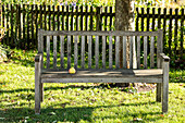 Apple on bench