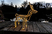 Lights in the garden - rope light reindeer