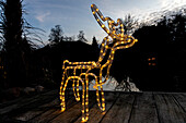 Lights in the garden - rope light reindeer