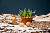 Ostern - Dekoration und Traubenhyazinthen