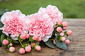 Cut flowers on wooden background