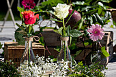 Cut flowers in vases