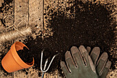 Garden tools, garden gloves, soil