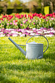 Watering can in the garden