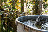 Water feature in the garden