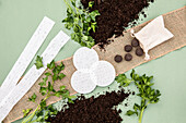 Aussaat - Saatbänder, Saatscheiben und Seedbombs
