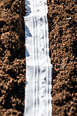 Sowing - Seed tapes