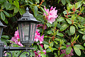 Garden lantern