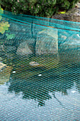 Pond net - frost protection