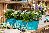 Decoration - planted flower pot
