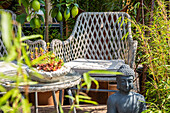 Terrace with garden chair