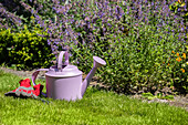 Watering can and gardening gloves in the garden