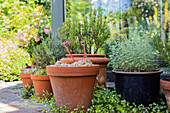 Garden ambiance with pots