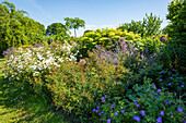 Herbaceous border