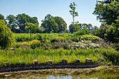 Garden ambience with bathing pond