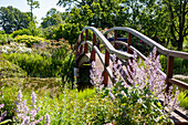 Wooden bridge