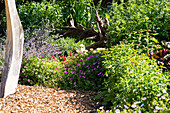 Herbaceous border