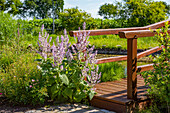 Bridge with pond