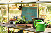Plant table by the greenhouse
