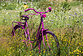 Decorative bicycle in the garden