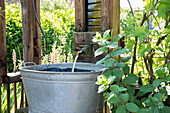 Water feature with zinc tub